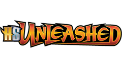 HeartGold & SoulSilver: Unleashed