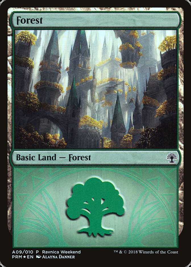 Forest (A09) [Guilds of Ravnica Ravnica Weekend]